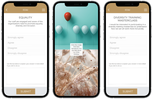 Vibe ED&I survey using IAT